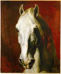 Head of a White Horse