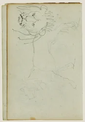 Lion Walking, Face of Lion