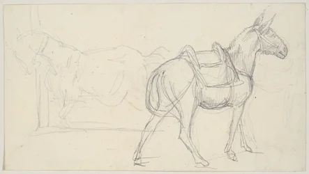 Sketch of a Horse