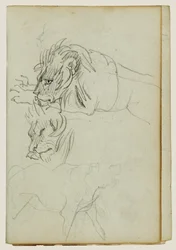 Three Lion Studies