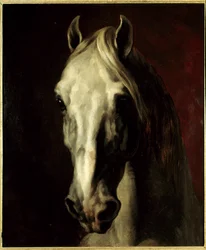 White horse
