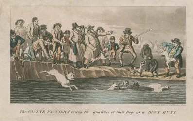 The Canine Fanciers Trying the Qualities of Their Dogs at a Duck Hunt