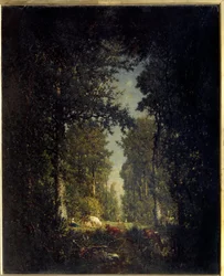 An avenue, L