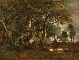 Forest of Fontainebleau, Cluster of Tall Trees Overlooking the Plain of Clair-Bois at the Edge of Bas-Bréau