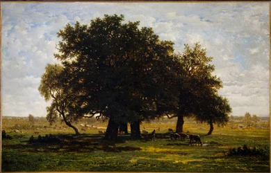 Group of Oaks, Apremont