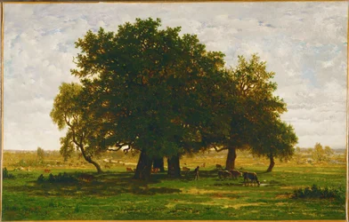 Group of Oak Trees, Apremont