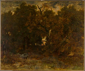 Leaving the Forest, Fontainebleau: Setting Sun