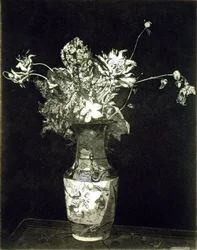 The Agony of Flowers