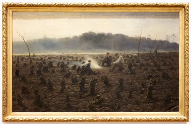 The Stumps
