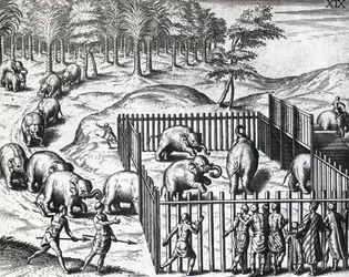 Elephant hunting in kingdom of Pegu, now Myanmar, engraving by Theodor de Bry