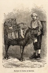 A Coal Merchant in Djewilisk (Northern Anatolia)
