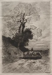 Return of the Flock