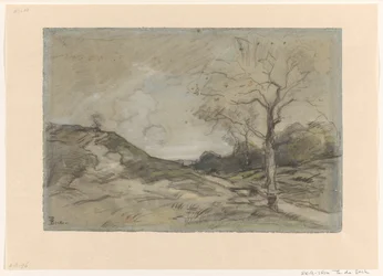 Dune Landscape
