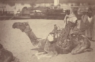 A North African Man on a Camel on the Bank of the Nile