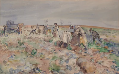 In the potato field