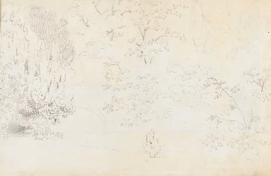 A study in graphite of the bridge and trees from the west