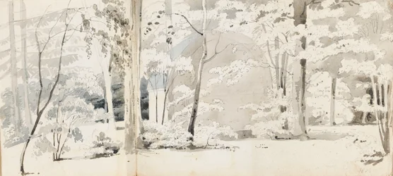 An arbour surrounded by trees