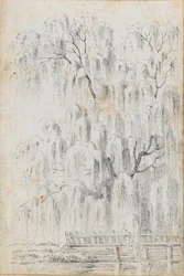 Study of a Tree Overhanging Water at Merton