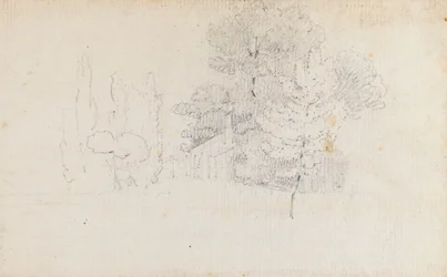 Study of Trees and a Small Building in the Grounds of Merton Place