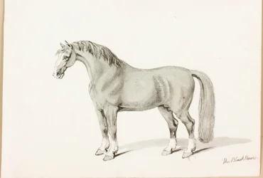 The Black Horse