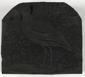 Woodblock for The Great Plover, from A History of British Birds