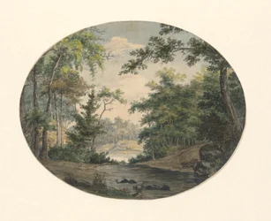 Forest Landscape