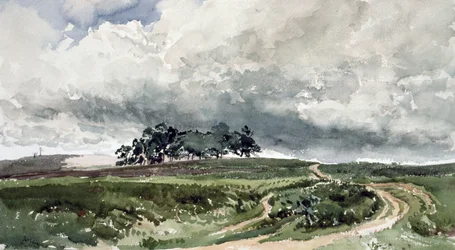 A Heath Scene
