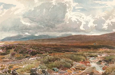 A Sussex Common