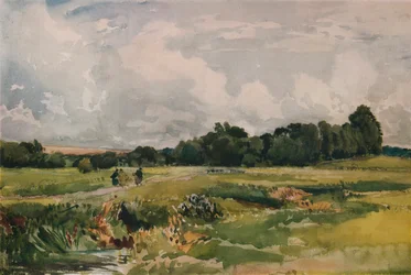 The Marshes