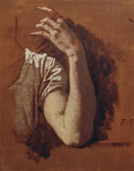 Arm Study