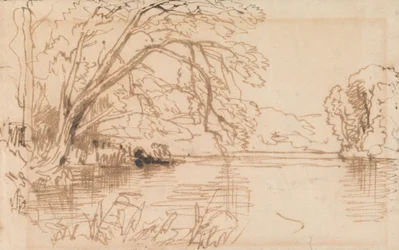 A Tree Overhanging a River