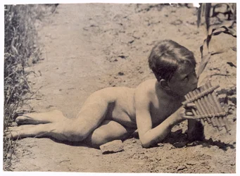 Ben Crowell, Study for Arcadia, c. 1883