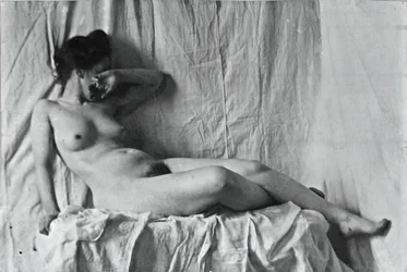 Unidentified Model