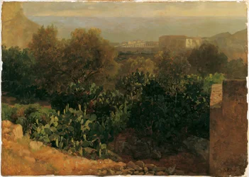 Southern Landscape with Cacti