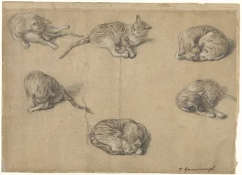 Six Studies of a Cat