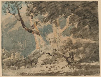 The Edge of a Wood