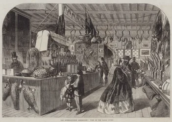 The International Exhibition, View in the Natal Court