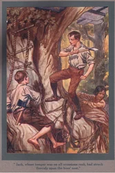 Jack, Whose Temper Was on All Occasions Rash, Had Struck Fiercely Upon the Bees Nest