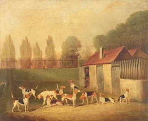 Foxhounds in a Kennelyard