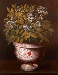 Terracotta Vase with an Orange Bush in Flower