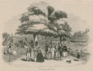 The lake in St James