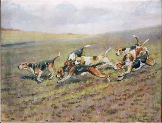 Crossing the Fields, illustration from 