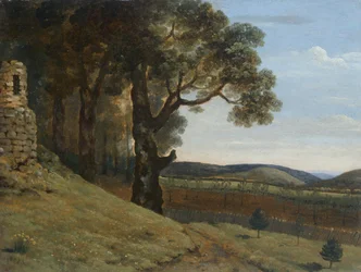 Field Near Pencerrig