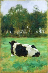 A Cow in the Meadow