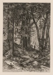 Interior of a California Forest (after Thomas Moran)