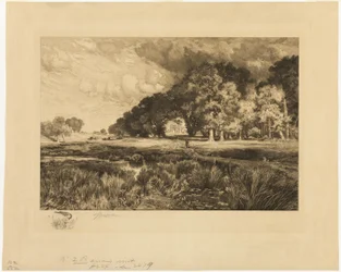 Long Island Landscape