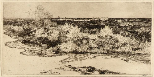 The Sounding Sea