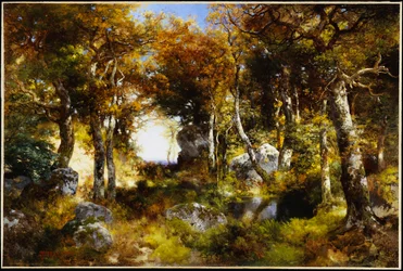 The Woodland Pool