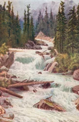 Falls on the Illecillewaet River, Selkirk Mountains, British Columbia