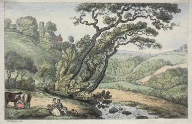 A Cornish View